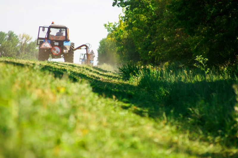 Acreage Clearing in Katy, TX