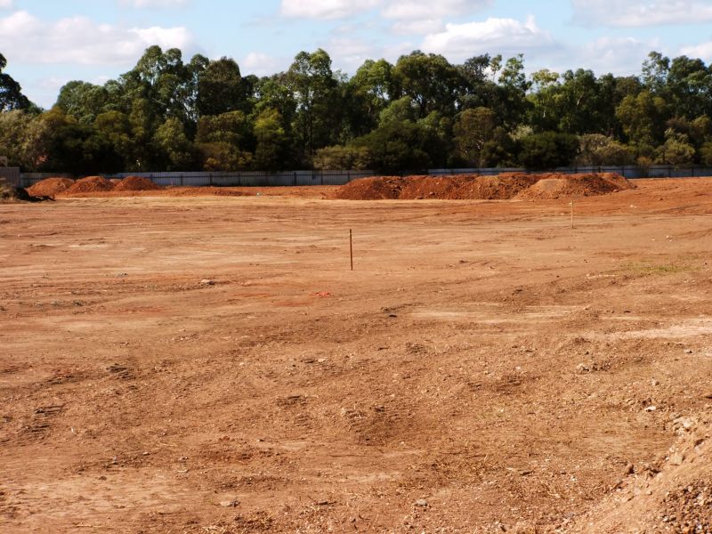 Building Site Clearing in Gwinnett County, GA