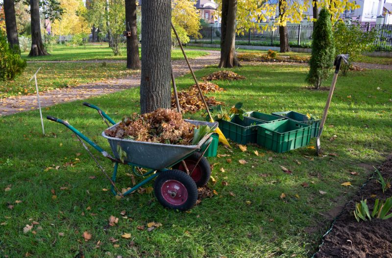 Bushes Clearing in Salt Lake City, UT