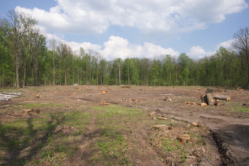 Pasture Clearing in Salt Lake City, UT
