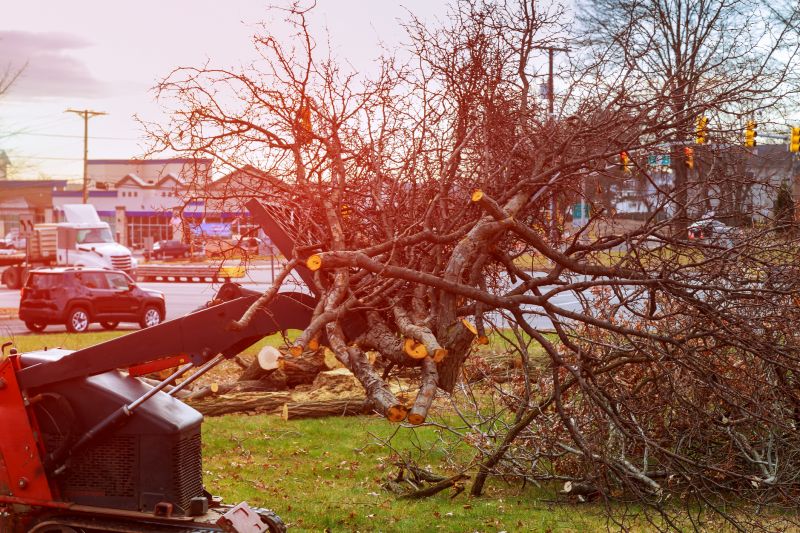 Pool Land Clearing in Gwinnett County, GA