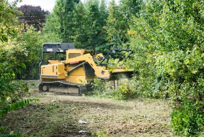 Terrain Clearing in Utah County, UT