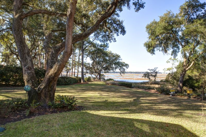 Lakefront Property Clearing in Katy, TX